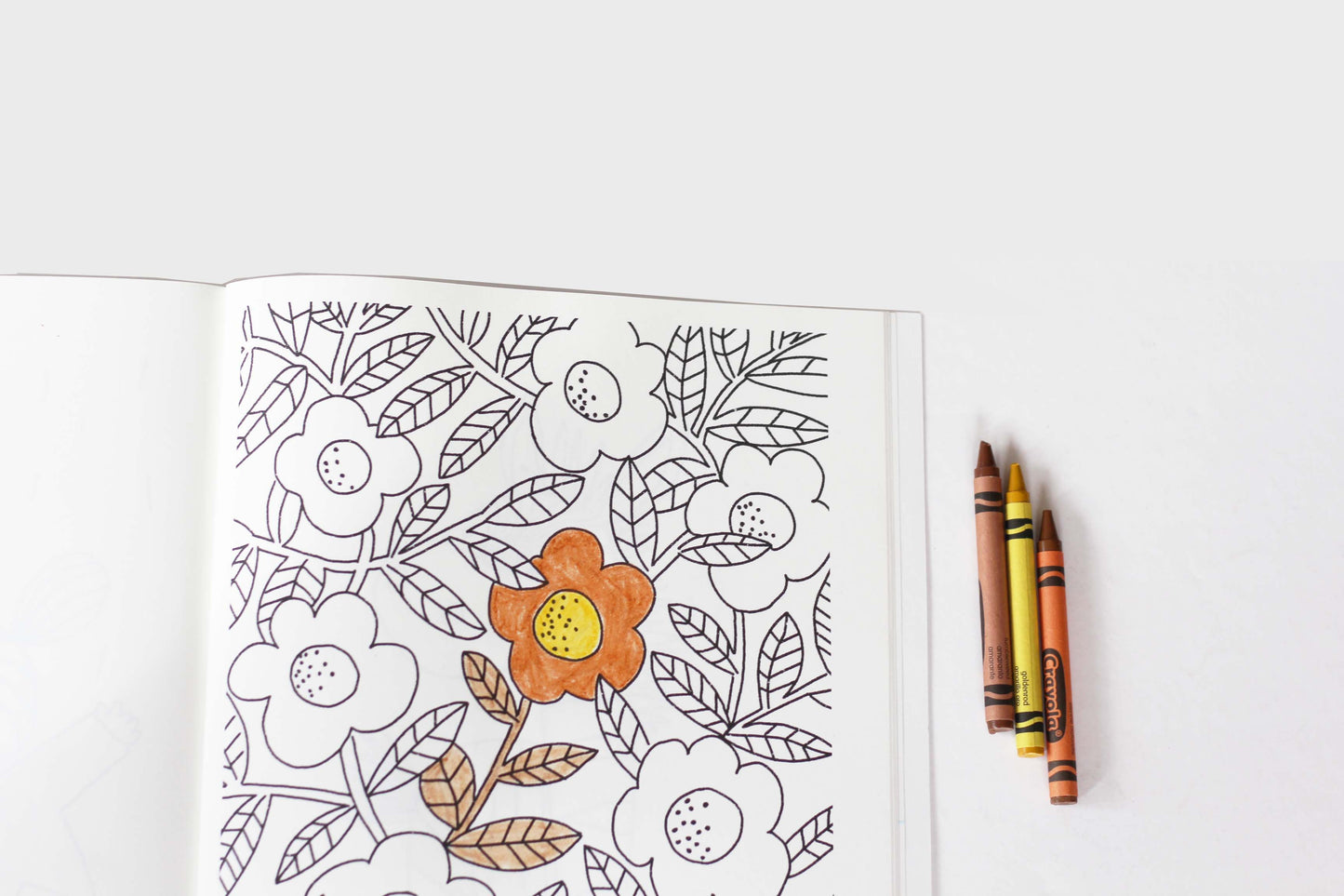 Libro de colorear, Colouring Book
